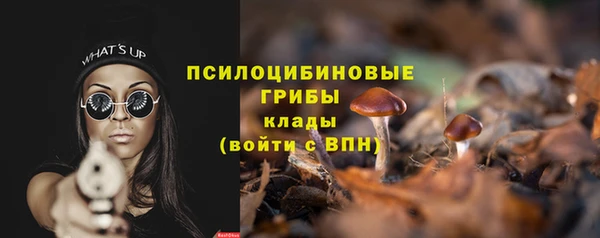 соль ск Балахна