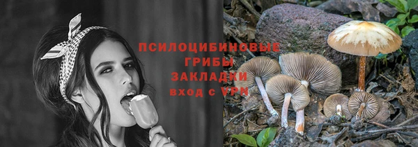 a pvp Баксан