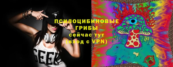 соль ск Балахна