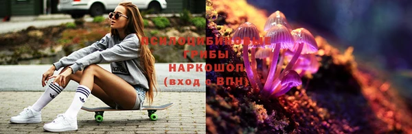 a pvp Баксан